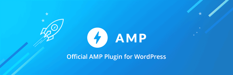 Wordpress SEO Plugin AMP